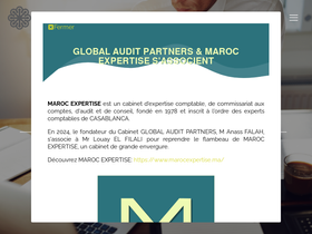 globalauditpartners.com