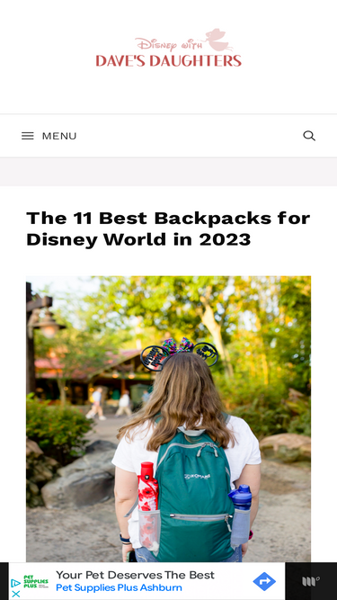 disneywithdavesdaughters.com