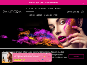 Website Logo