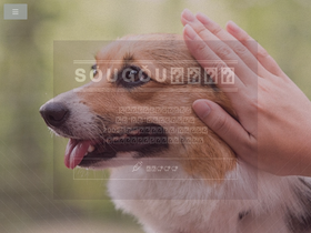 'sougou.com' screenshot