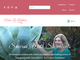 'debraleebaldwin.com' screenshot