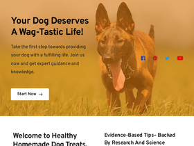 'healthyhomemadedogtreats.com' screenshot