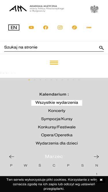 amuz.bydgoszcz.pl