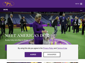 'westminsterkennelclub.org' screenshot