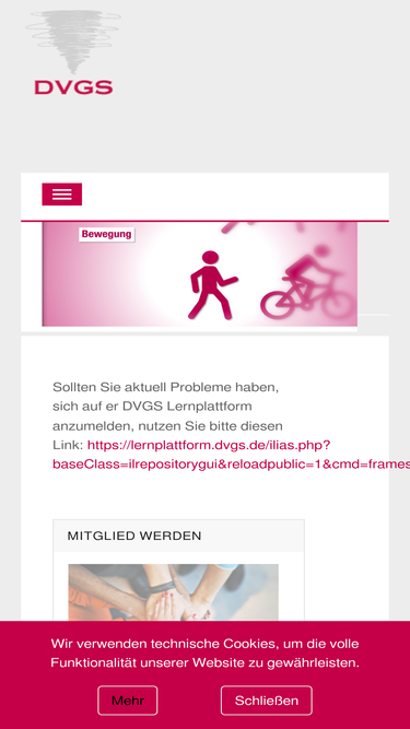 dvgs.de