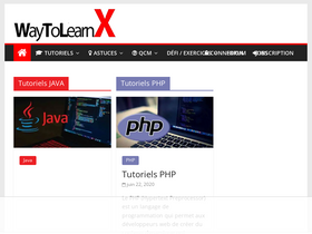 'waytolearnx.com' screenshot