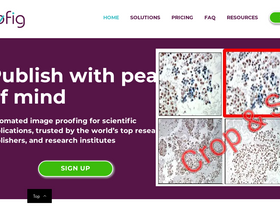 Proofig - Proofig-AI检测科研图像是否造假抄袭