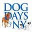 dogdaysofny.com