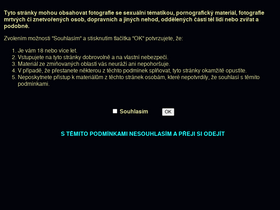 'roumenovomaso.cz' screenshot