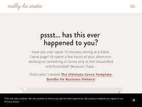 mollyhostudio.com