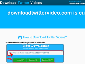 'downloadtwittervideo.com' screenshot