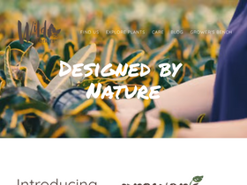 'wildinteriors.com' screenshot