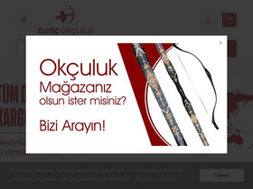 'okculuk.com' screenshot