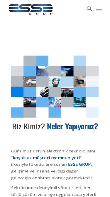 essegrup.com
