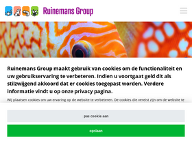 ruinemansgroup.com