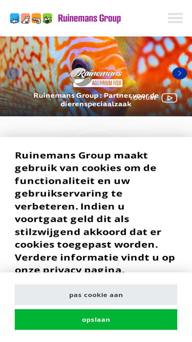 ruinemansgroup.com