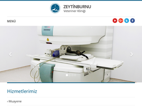 zeytinburnuvet.com