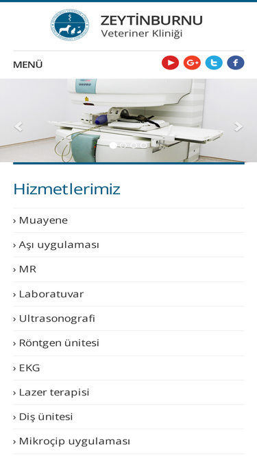 zeytinburnuvet.com