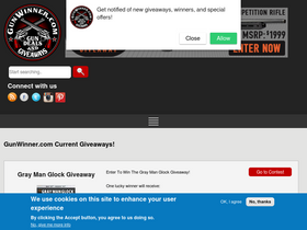'gunwinner.com' screenshot
