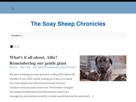 priscilla.saltmarshranch.com