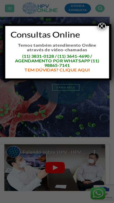 hpvonline.com.br