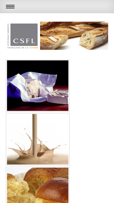 chambresyndicalelevure.com