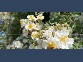 touraineloirevalley.co.uk