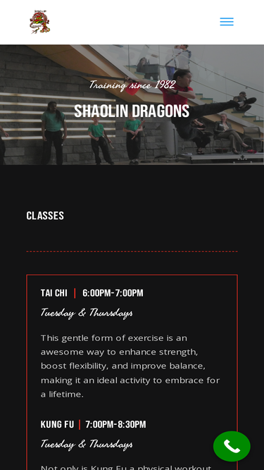 shaolindragons.org
