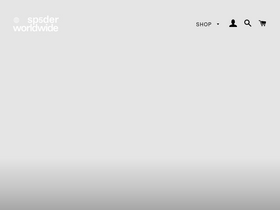 'kingspider.co' screenshot