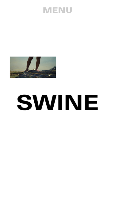 studioswine.com