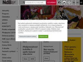 'ndbrno.cz' screenshot