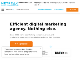 'netpeak.net' screenshot