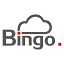 bingosoft.net