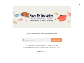 sincenooneasked.substack.com