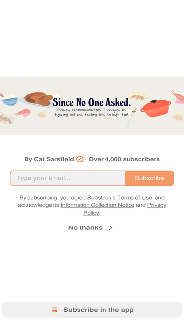 sincenooneasked.substack.com
