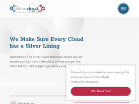 thesilvercloudbusiness.com