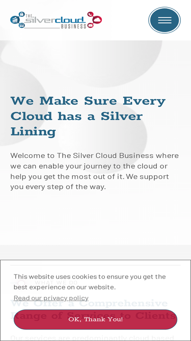 thesilvercloudbusiness.com