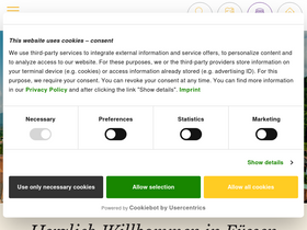 'fuessen.de' screenshot