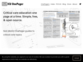 'onepagericu.com' screenshot