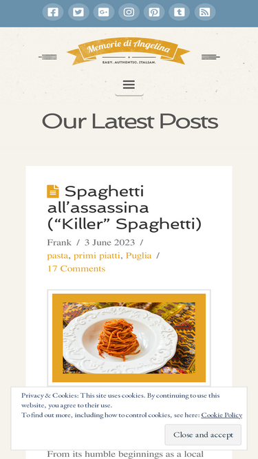 memoriediangelina.com