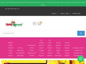 'hatayyoresel.com' screenshot