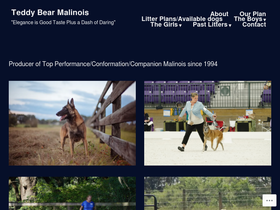 teddybearmalinois.com