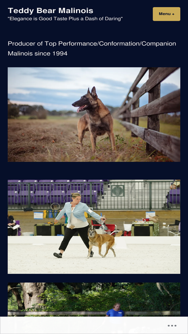 teddybearmalinois.com