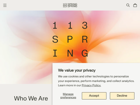 113 SPRING NYC homepage screenshot
