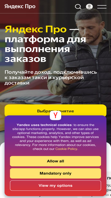 pro.yandex