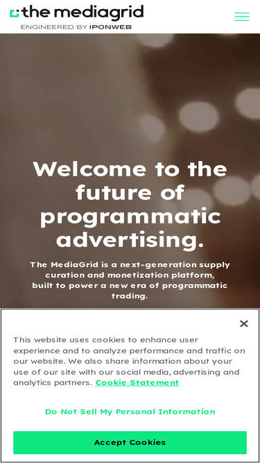 themediagrid.com