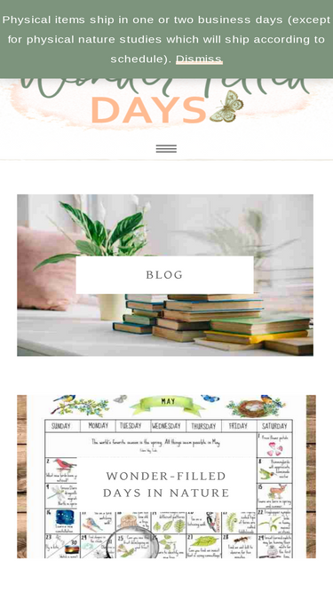 wonderfilleddays.com