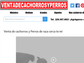 'ventadecachorrosyperros.com' screenshot