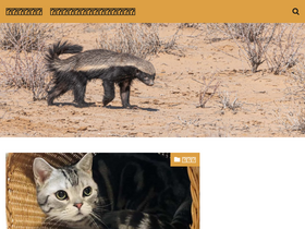 'swmcoms.com' screenshot