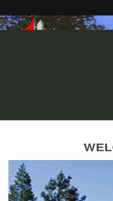 georgetownmethodist.net